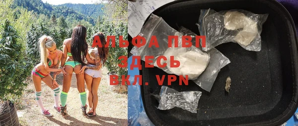 Альфа ПВП Белокуриха