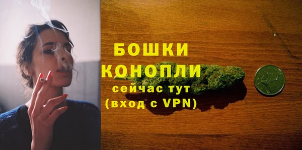 Альфа ПВП Белокуриха